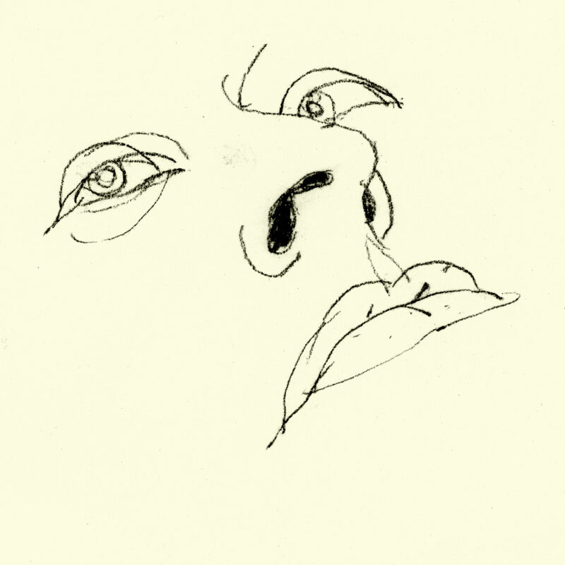 close up charcoal line drawing of a face in close-up tilted backwards and gazing back toward the viewer