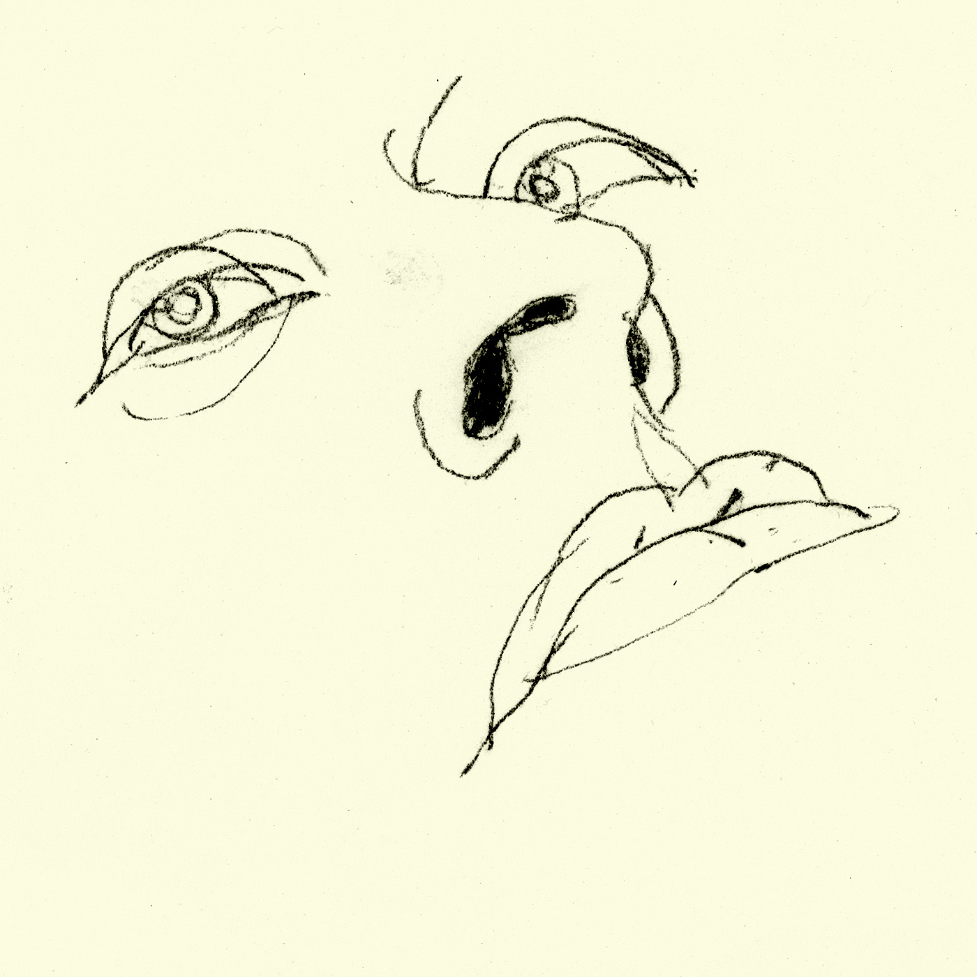 close up charcoal line drawing of a face in close-up tilted backwards and gazing back toward the viewer